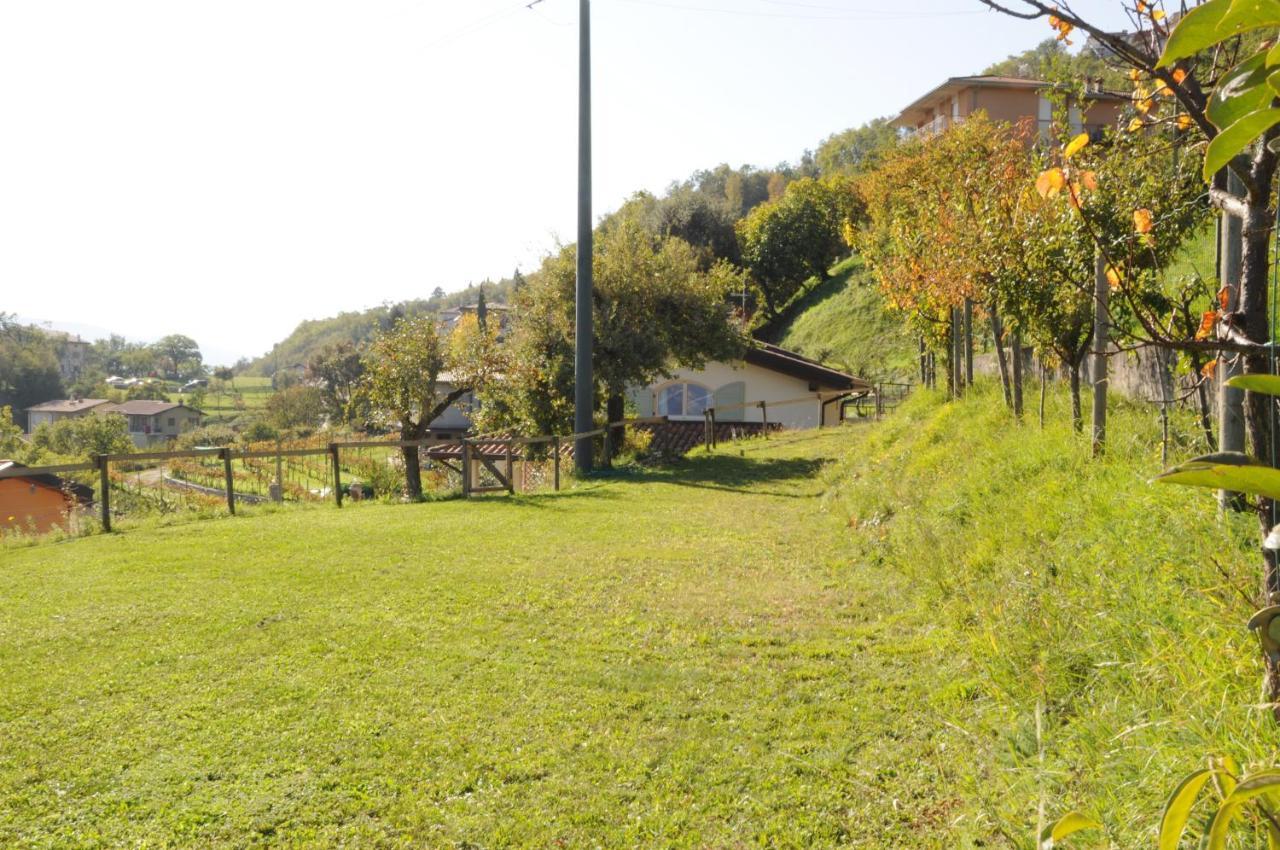 Villetta 56 Blu Yellow And Red Lake View Garden Private Parking By Garda Domus Mea Tremosine Exterior foto