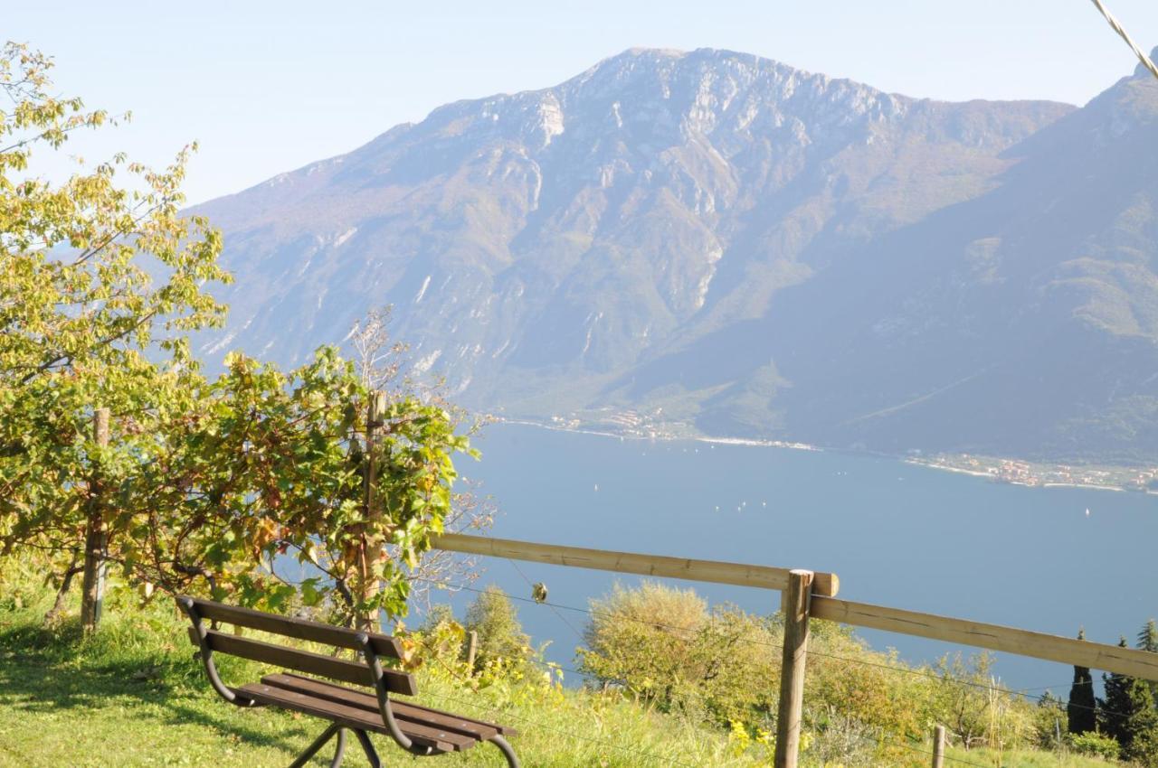 Villetta 56 Blu Yellow And Red Lake View Garden Private Parking By Garda Domus Mea Tremosine Exterior foto