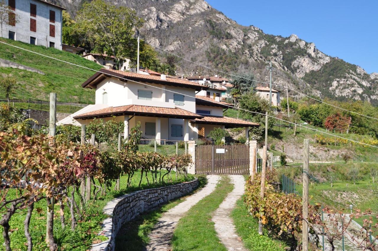 Villetta 56 Blu Yellow And Red Lake View Garden Private Parking By Garda Domus Mea Tremosine Exterior foto